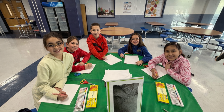 4th Grade Animal Project Covers